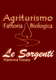 Agriturismo Toscana - Fattoria Biologica Toscana